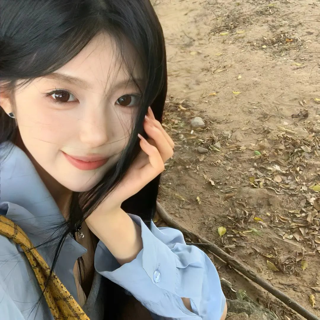 呆仔缉私
